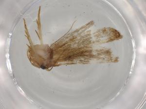  ( - BIOUG80566-F01)  @11 [ ] CreativeCommons - Attribution (2022) Centre for Biodiversity Genomics Centre for Biodiversity Genomics