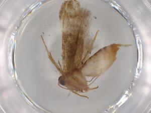  ( - BIOUG80474-D05)  @11 [ ] CreativeCommons - Attribution (2022) Centre for Biodiversity Genomics Centre for Biodiversity Genomics