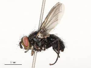  ( - CBG-A54494-E10)  @11 [ ] CreativeCommons - Attribution Share - Alike (2024) CBG Photography Group Centre for Biodiversity Genomics