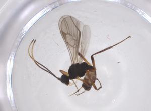  ( - CBG-A58011-F04)  @11 [ ] CreativeCommons - Attribution Share - Alike (2024) Centre for Biodiversity Genomics Centre for Biodiversity Genomics