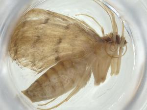  ( - CBG-A34929-H08)  @11 [ ] CreativeCommons - Attribution Share - Alike (2024) Centre for Biodiversity Genomics Centre for Biodiversity Genomics