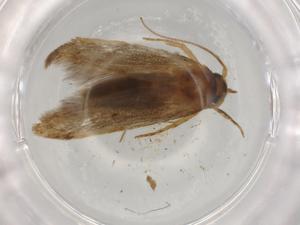  ( - BIOUG78088-C12)  @11 [ ] CreativeCommons - Attribution (2022) Centre for Biodiversity Genomics Centre for Biodiversity Genomics