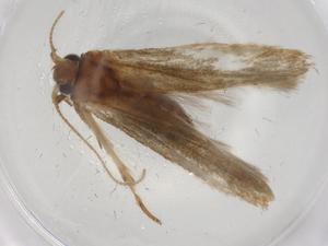  ( - BIOUG86111-F12)  @11 [ ] CreativeCommons - Attribution (2022) Centre for Biodiversity Genomics Centre for Biodiversity Genomics