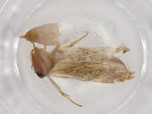  ( - BIOUG86322-C09)  @11 [ ] CreativeCommons - Attribution (2022) Centre for Biodiversity Genomics Centre for Biodiversity Genomics