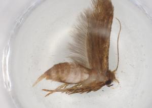  ( - BIOUG86334-C08)  @11 [ ] CreativeCommons - Attribution (2022) Centre for Biodiversity Genomics Centre for Biodiversity Genomics