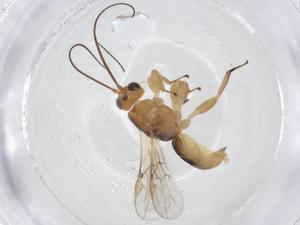  ( - CBG-A12311-C06)  @11 [ ] CreativeCommons - Attribution Share - Alike (2023) Centre for Biodiversity Genomics Centre for Biodiversity Genomics