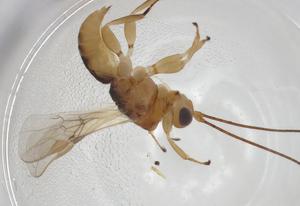  ( - CBG-A12523-H08)  @11 [ ] CreativeCommons - Attribution Share - Alike (2023) Centre for Biodiversity Genomics Centre for Biodiversity Genomics