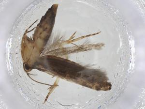  ( - CBG-A11277-D11)  @11 [ ] CreativeCommons - Attribution Share - Alike (2023) Centre for Biodiversity Genomics Centre for Biodiversity Genomics