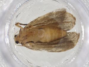  ( - CBG-A17406-F05)  @11 [ ] CreativeCommons - Attribution Share - Alike (2023) Centre for Biodiversity Genomics Centre for Biodiversity Genomics