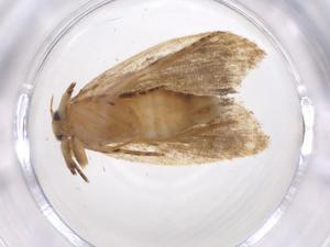  ( - CBG-A36894-F01)  @11 [ ] CreativeCommons - Attribution Share - Alike (2024) Centre for Biodiversity Genomics Centre for Biodiversity Genomics