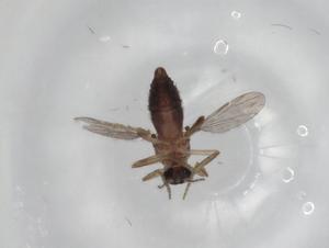  ( - BIOUG79921-E04)  @11 [ ] CreativeCommons - Attribution (2022) Centre for Biodiversity Genomics Centre for Biodiversity Genomics