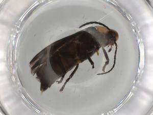  ( - BIOUG79932-B04)  @11 [ ] CreativeCommons - Attribution (2022) Centre for Biodiversity Genomics Centre for Biodiversity Genomics