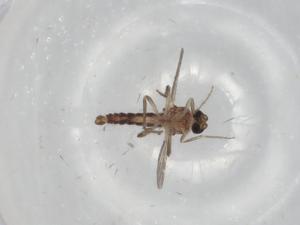  ( - BIOUG80270-E07)  @11 [ ] CreativeCommons - Attribution (2022) Centre for Biodiversity Genomics Centre for Biodiversity Genomics