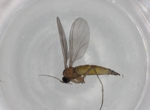  ( - BIOUG80765-A07)  @11 [ ] CreativeCommons - Attribution (2022) Centre for Biodiversity Genomics Centre for Biodiversity Genomics