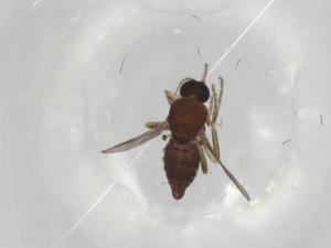  ( - BIOUG77034-C05)  @11 [ ] CreativeCommons - Attribution (2022) Centre for Biodiversity Genomics Centre for Biodiversity Genomics