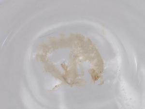  ( - BCS-ILRD-44760-G07)  @11 [ ] CreativeCommons - Attribution Share-Alike (2023) Centre for Biodiversity Genomics Centre for Biodiversity Genomics