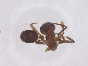  ( - CBG-B20758-B08)  @11 [ ] CreativeCommons - Attribution Share - Alike (2025) Centre for Biodiversity Genomics Centre for Biodiversity Genomics