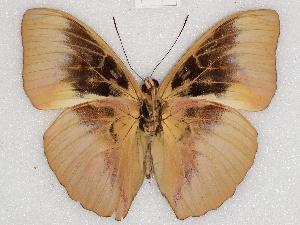  ( - ABRI_071)  @11 [ ] Unspecified (default): All Rights Reserved  Unspecified Unspecified