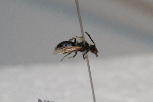  ( - CR-33325-10)  @11 [ ] CreativeCommons  Attribution Non-Commercial Share-Alike (2019) Claus Rasmussen Aarhus University, Denmark