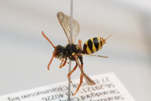  ( - CR-33325-53)  @13 [ ] CreativeCommons  Attribution Non-Commercial Share-Alike (2019) Claus Rasmussen Aarhus University, Denmark