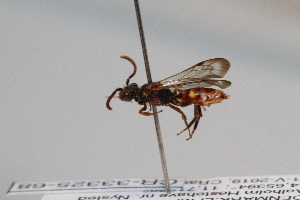  ( - CR-33325-68)  @12 [ ] CreativeCommons  Attribution Non-Commercial Share-Alike (2019) Claus Rasmussen Aarhus University, Denmark