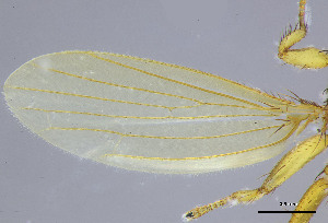  ( - DI-020)  @11 [ ] CreativeCommons - Attribution (2025) Unspecified Universidade Federal de Minas Gerais
