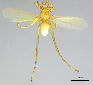  ( - DI-014)  @11 [ ] CreativeCommons - Attribution Non-Commercial Share-Alike  Unspecified Universidade Federal de Minas Gerais