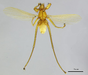  ( - DI-014)  @11 [ ] CreativeCommons - Attribution Non-Commercial Share-Alike  Unspecified Universidade Federal de Minas Gerais