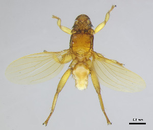  ( - DI-45)  @11 [ ] CreativeCommons - Attribution Non-Commercial Share-Alike  Unspecified Universidade Federal de Minas Gerais