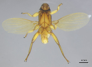  ( - DI-45)  @11 [ ] CreativeCommons - Attribution Non-Commercial Share-Alike  Unspecified Universidade Federal de Minas Gerais