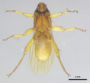  ( - DI-24)  @11 [ ] CreativeCommons - Attribution Non-Commercial Share-Alike  Unspecified Universidade Federal de Minas Gerais