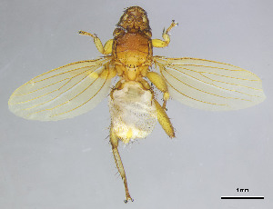  ( - DI-016)  @11 [ ] CreativeCommons - Attribution Non-Commercial Share-Alike  Unspecified Universidade Federal de Minas Gerais