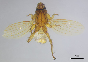  ( - DI-016)  @11 [ ] CreativeCommons - Attribution Non-Commercial Share-Alike  Unspecified Universidade Federal de Minas Gerais