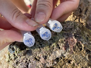  ( - Ak8-10)  @11 [ ] Copyright (2025) Unspecified Middle East Technical University, Institute of Marine Sciences