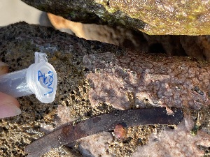  ( - Ak8-5)  @11 [ ] CreativeCommons - Attribution Share-Alike (2025) Unspecified Middle East Technical University