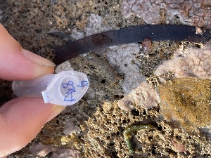  ( - Ak8-6)  @11 [ ] CreativeCommons - Attribution Share-Alike (2025) Unspecified Middle East Technical University