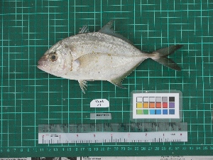  ( - DBMF-M763)  @13 [ ] Unspecified (default): All Rights Reserved  Unspecified Unspecified