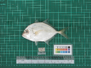  ( - DBMF-M794)  @11 [ ] Unspecified (default): All Rights Reserved  Unspecified Unspecified