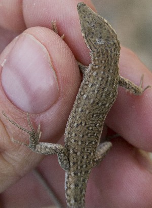  ( - FLI.0120)  @11 [ ] c  Unspecified Unspecified