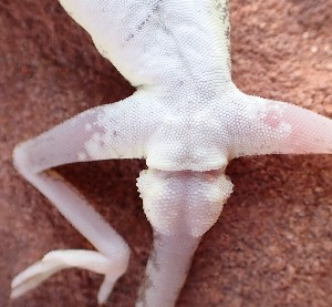  ( - JCB.0141)  @11 [ ] c  Unspecified Unspecified