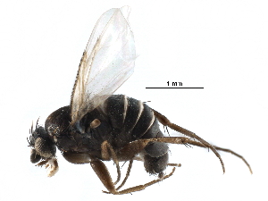  ( - BIOUG27991-E01)  @11 [ ] CreativeCommons - Attribution (2016) CBG Photography Group Centre for Biodiversity Genomics
