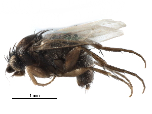  ( - BIOUG27991-E02)  @11 [ ] CreativeCommons - Attribution (2016) CBG Photography Group Centre for Biodiversity Genomics