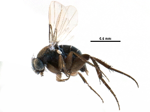  ( - BIOUG28751-C08)  @11 [ ] CreativeCommons - Attribution (2016) CBG Photography Group Centre for Biodiversity Genomics