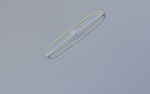 ( - UH2-3G)  @11 [ ] Unspecified (default): All Rights Reserved  Unspecified Unspecified