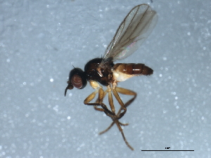  ( - 10BBDIP-1792)  @13 [ ] CreativeCommons - Attribution (2010) CBG Photography Group Centre for Biodiversity Genomics