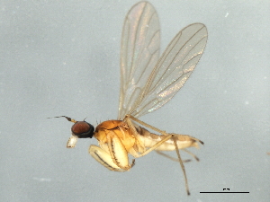  ( - 10BBDIP-2152)  @12 [ ] CreativeCommons - Attribution (2010) CBG Photography Group Centre for Biodiversity Genomics