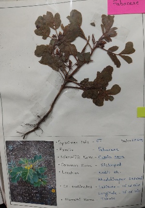  ( - Sto)  @11 [ ] c (2022) Department of biotechnology Fergusson college