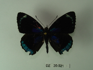  ( - DZ 20.521)  @13 [ ] Unspecified (default): All Rights Reserved  Unspecified Unspecified