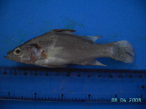  ( - DO-AK059)  @12 [ ] Unspecified (default): All Rights Reserved  Unspecified Unspecified