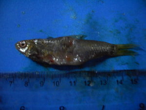  ( - DO-YW012)  @12 [ ] Unspecified (default): All Rights Reserved  Unspecified Unspecified